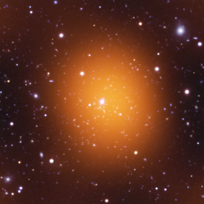 Record-Breaking Phoenix Galaxy Cluster: By the Numbers